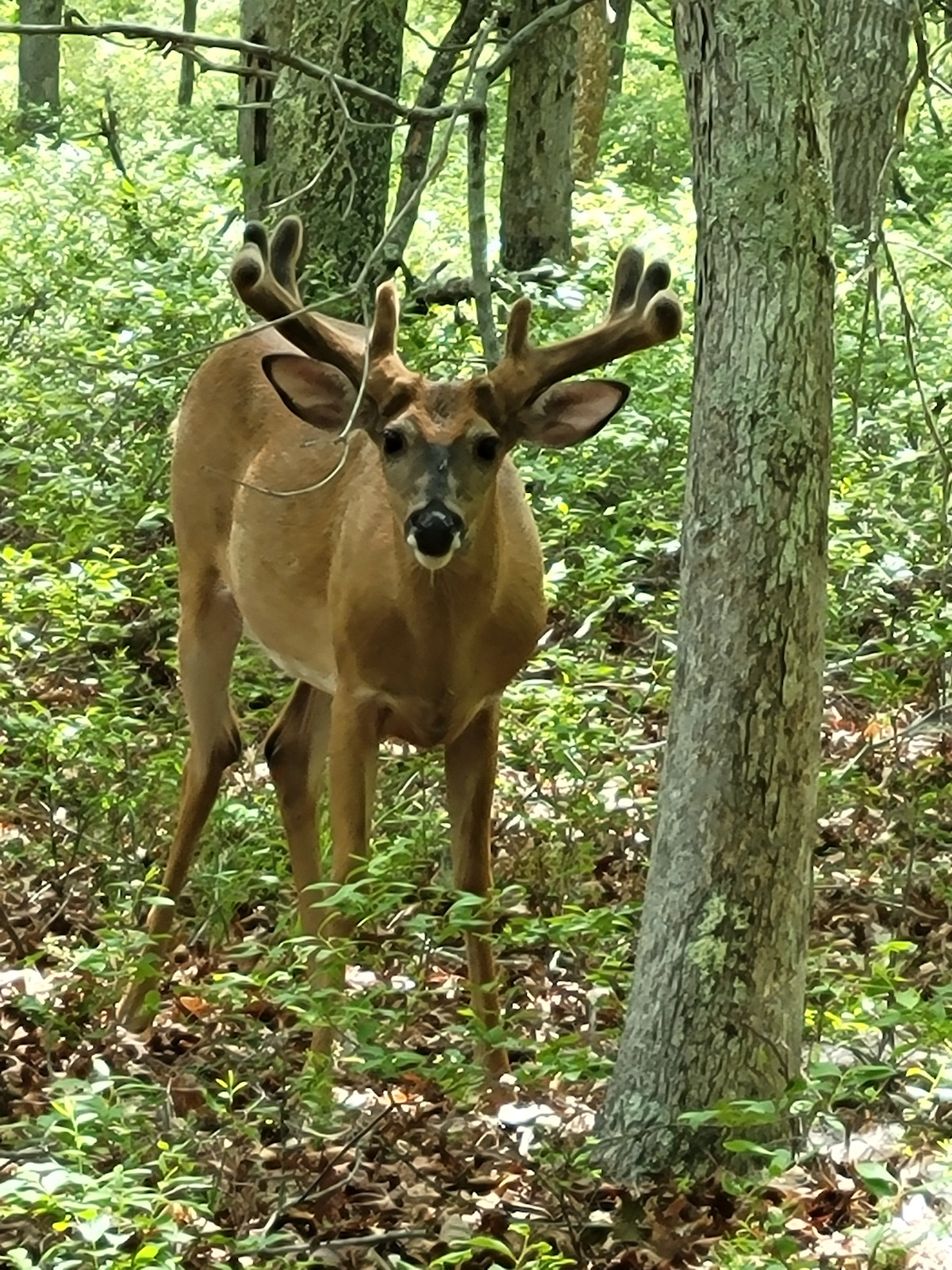 image00005