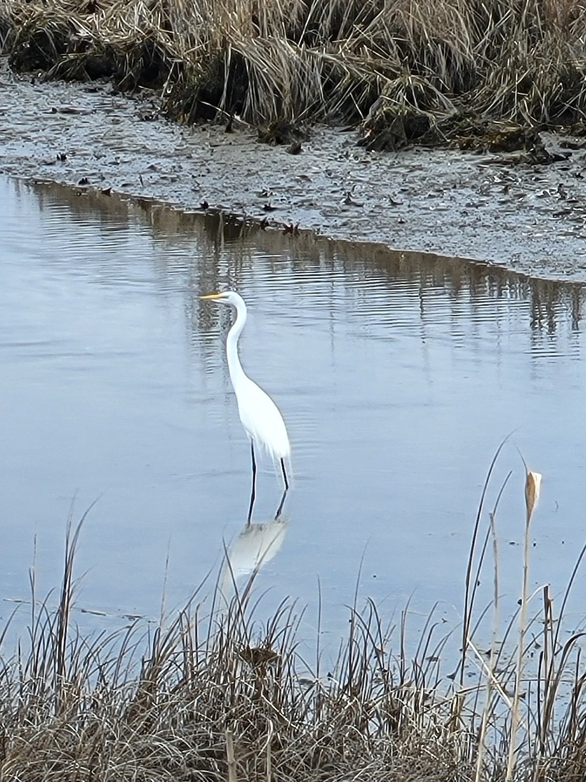 image00008